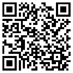 QR-код чата МАКС apa customs